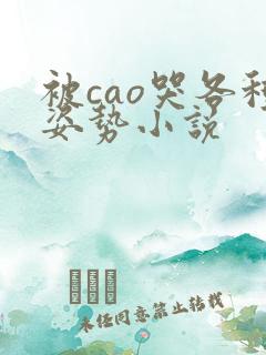 被cao哭各种姿势小说