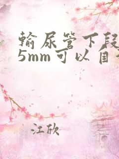 输尿管下段结石5mm可以自行排出吗