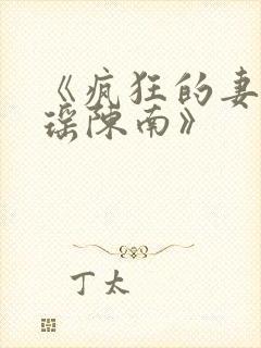 《疯狂的妻子林瑶陈南》