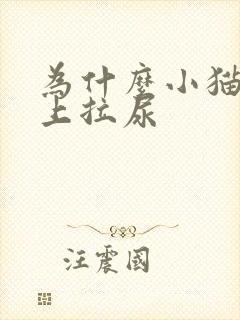 为什么小猫在床上拉尿