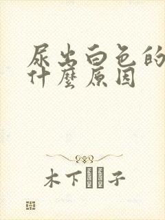 尿出白色的尿是什么原因