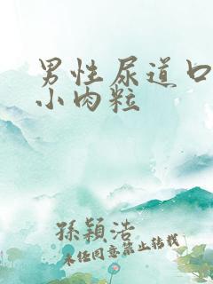 男性尿道口边有小肉粒