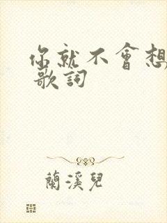 你就不会想起我 歌词