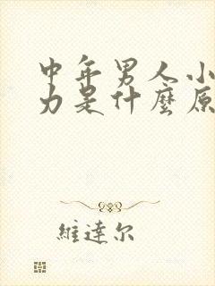 中年男人小便无力是什么原因