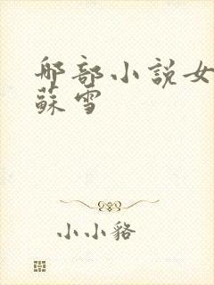 哪部小说女主叫苏雪