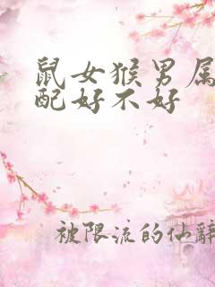 鼠女猴男属相婚配好不好