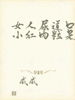 女人尿道口有个小红肉粒是怎么了