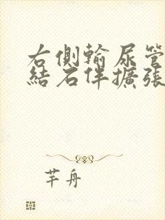 右侧输尿管上段结石伴扩张 右肾轻度积液