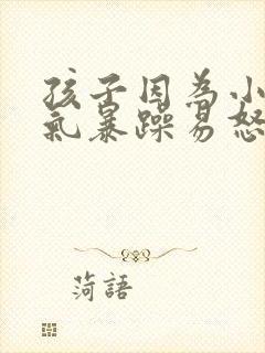 孩子因为小事脾气暴躁易怒