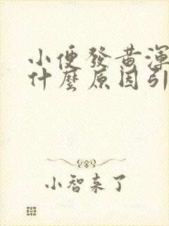 小便发黄浑浊是什么原因引起的