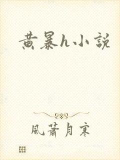 黄暴h小说