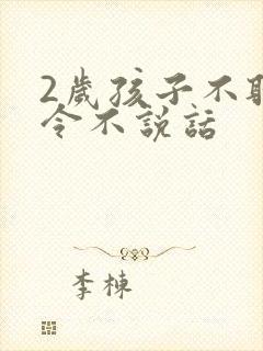 2岁孩子不听指令不说话