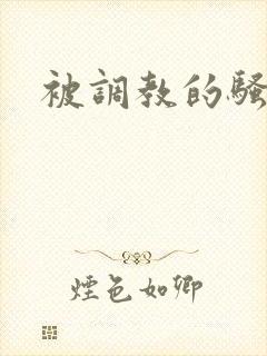 被调教的骚母狗