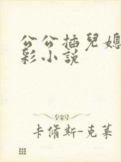 公公插儿媳妇精彩小说