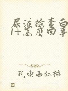 尿液检查白细胞1+怎么回事