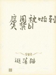 腐团被啪到高潮失禁bl