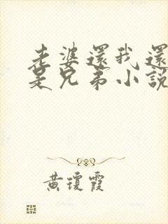 老婆还我还当你是兄弟小说