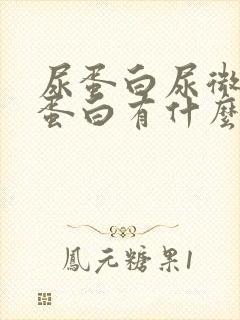 尿蛋白尿微量白蛋白有什么区别