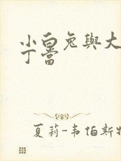 小白兔与大灰狼丁当