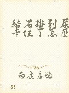 结石排到尿道口卡住了怎么办