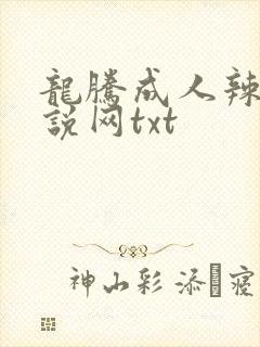 龙腾成人辣文小说网txt