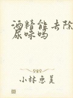 酒精能去除老鼠尿味吗