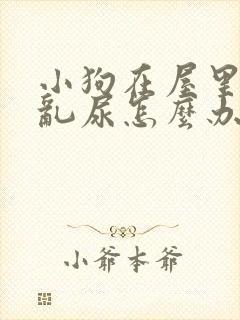 小狗在屋里乱拉乱尿怎么办