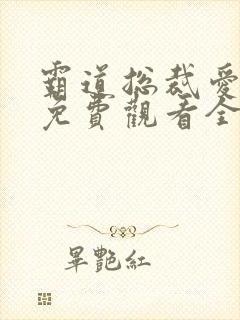 霸道总裁爱上我免费观看全集动漫