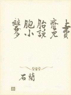 双胞胎齐上阵许多小说免费阅读