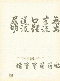 尿道口有无色透明液体流出