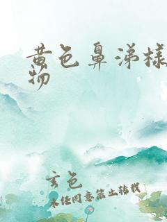 黄色鼻涕样分泌物