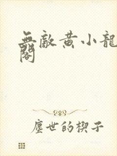 无敌黄小龙笔趣阁