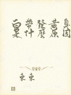 白带发黄臭味大是什么原因