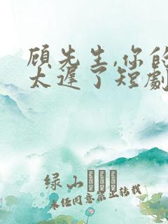 顾先生,你的爱太迟了短剧