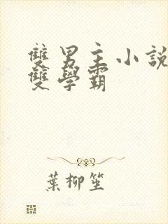 双男主小说校园双学霸