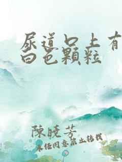 尿道口上有很多白色颗粒