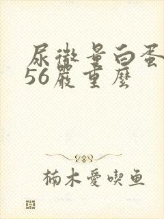 尿微量白蛋白456严重么