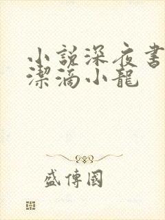 小说深夜书屋纯洁滴小龙