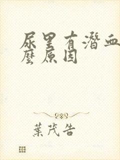 尿里有潜血是什么原因