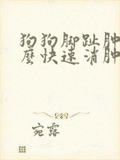 狗狗脚趾肿了怎么快速消肿