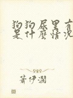 狗狗尿里有点血是什么情况