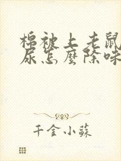 棉被上老鼠撒了尿怎么除味