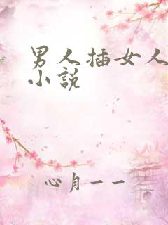 男人插女人下面小说