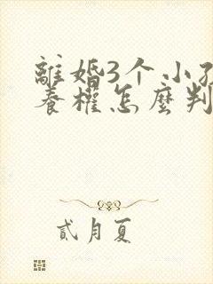 离婚3个小孩抚养权怎么判