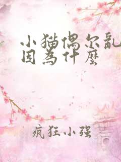 小猫偶尔乱尿是因为什么