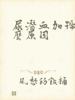 尿潜血加号是什么原因