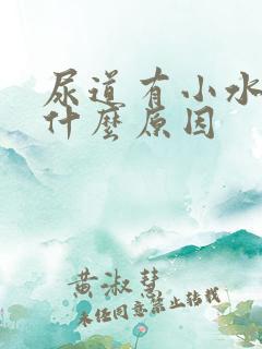 尿道有小水泡是什么原因