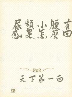 尿频小腹有坠胀感是怎么回事