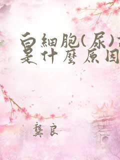 白细胞(尿)高是什么原因