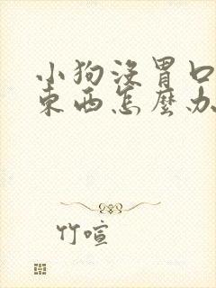 小狗没胃口不吃东西怎么办